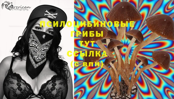 дурь Алзамай